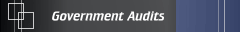 Government Audits