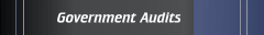 Government Audits